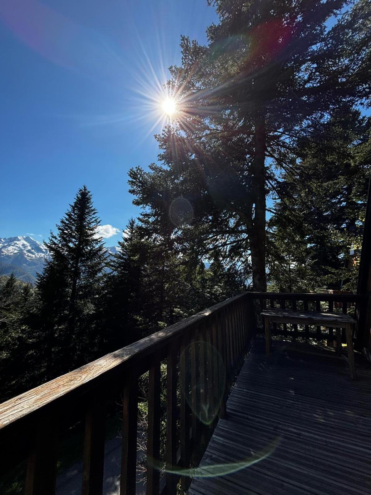 De Montagne Chalet