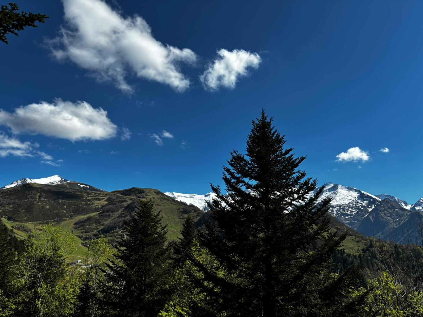 De Montagne *