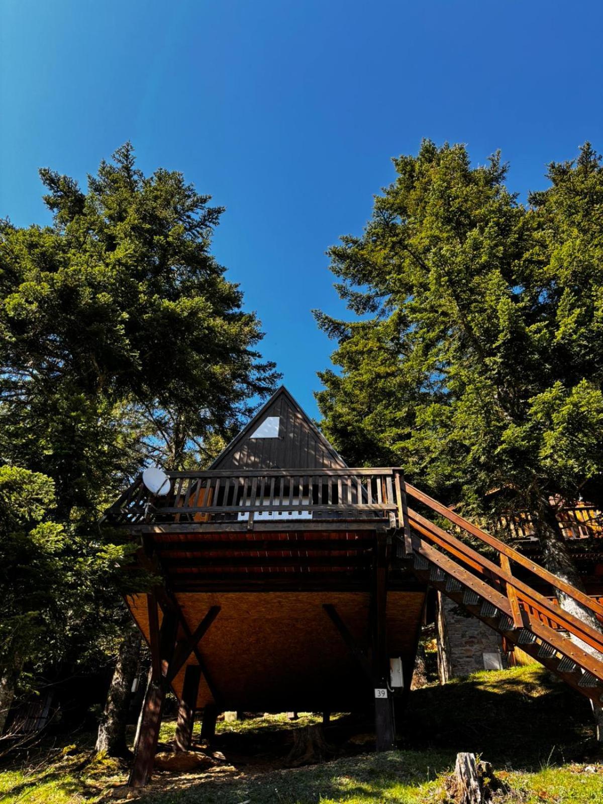 De Montagne Chalet *