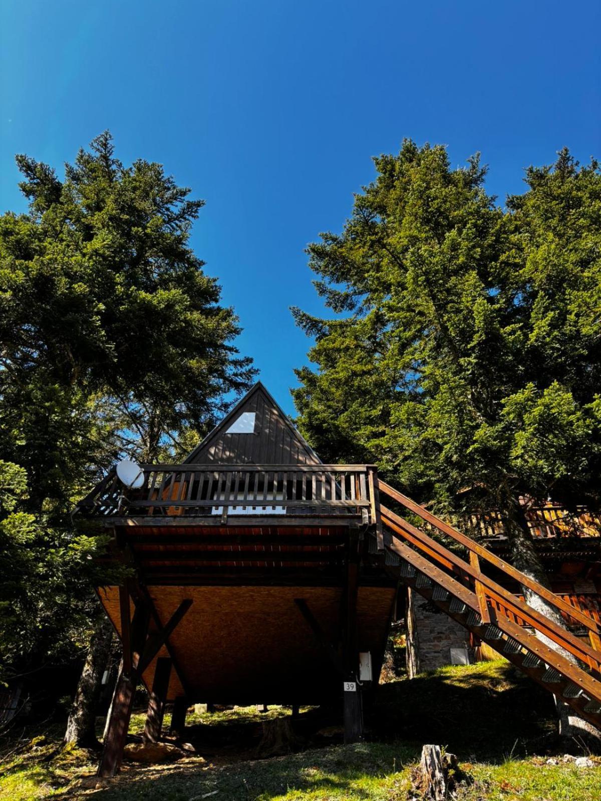 Chalet De Montagne